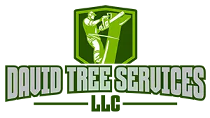 David Tree Services LLC